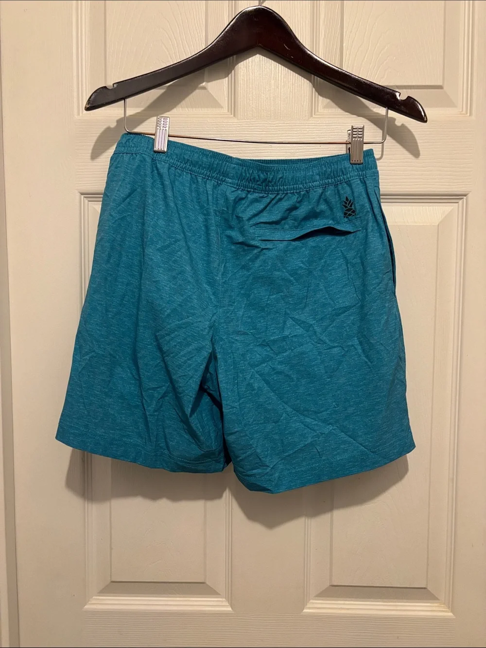 Chubbies swim trunks